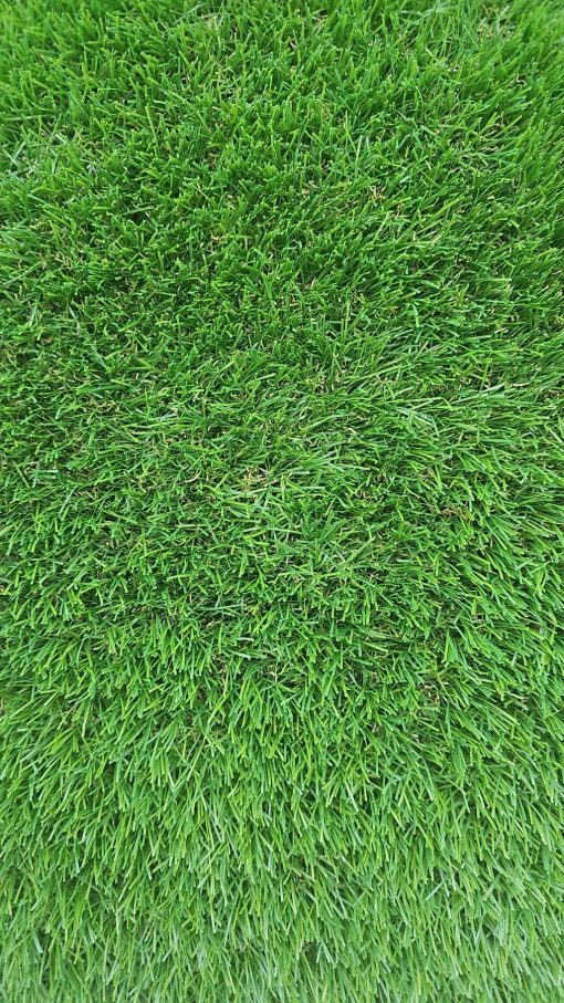 60 MM Çim Halı – Elite FORESTA – 4375 GR