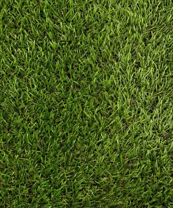 25 MM ÇİM HALI – Elite INDRA – 1600gr