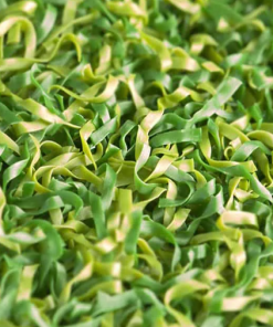 Alternative view of Golf Sahası Çim Halı – 15 MM Junior