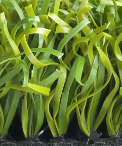 Alternative view of Golf Sahası Çim Halı – 16 MM Golf